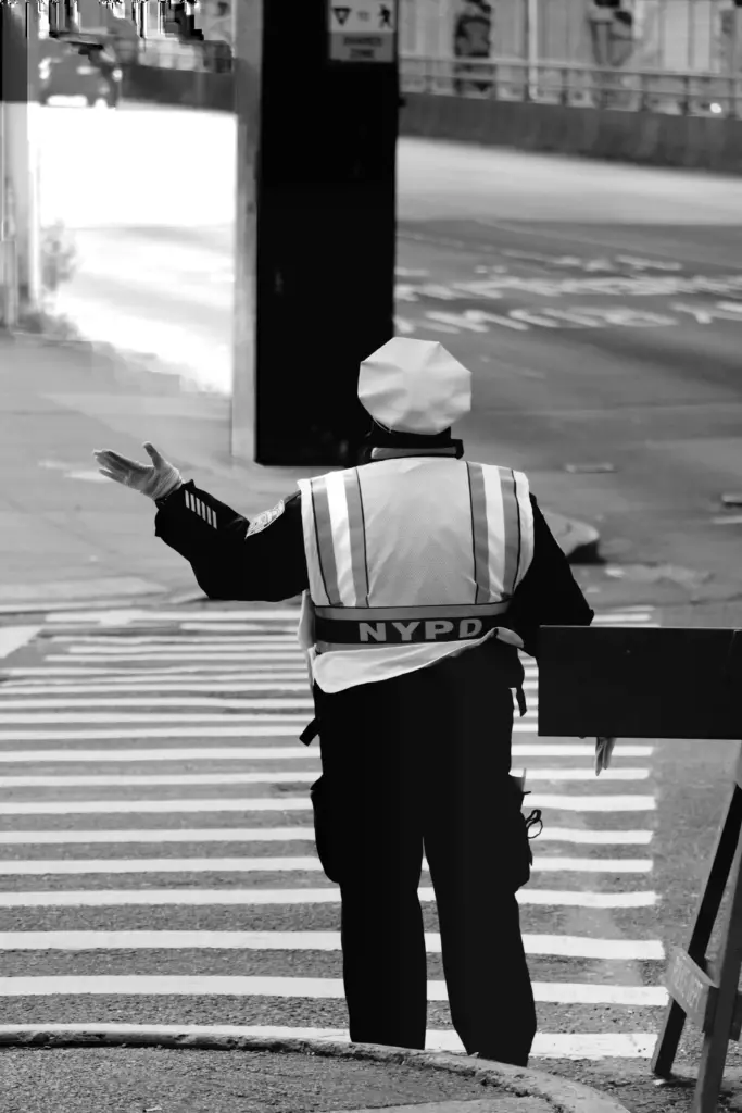 puntos de la licencia de nueva york